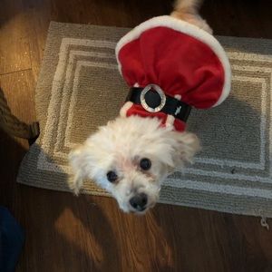 Meet your Posher, Kelsey